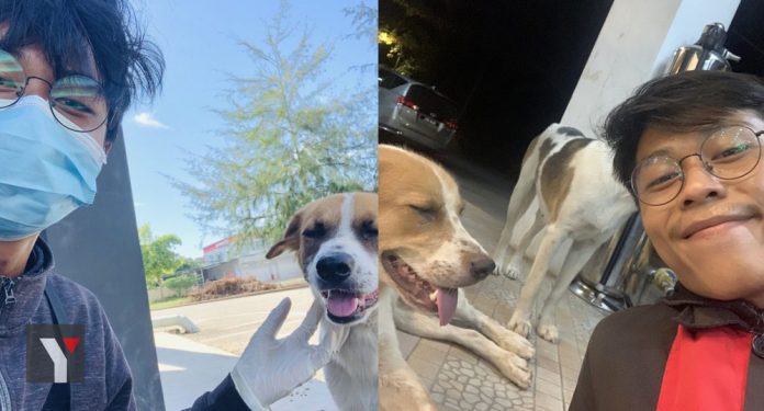 VIDEO Selalu Bagi Makan, Lelaki Ini Tak Sangka Anjing ...