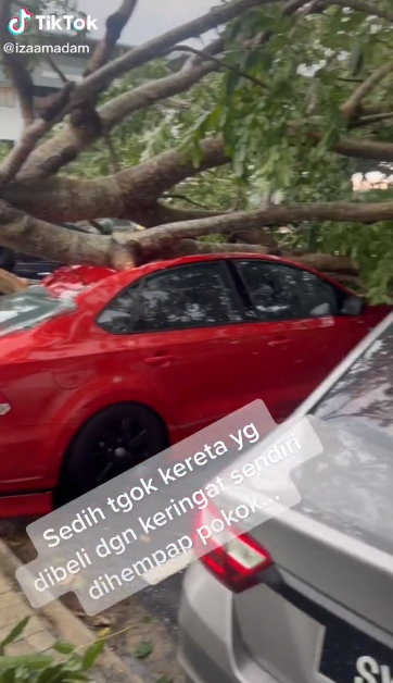 Kereta ‘Total Loss’ Tahun Lalu, Kini Pegawai Termenung Kereta Dibeli Tak Sampai Sebulan Teruk Dihempap Pokok